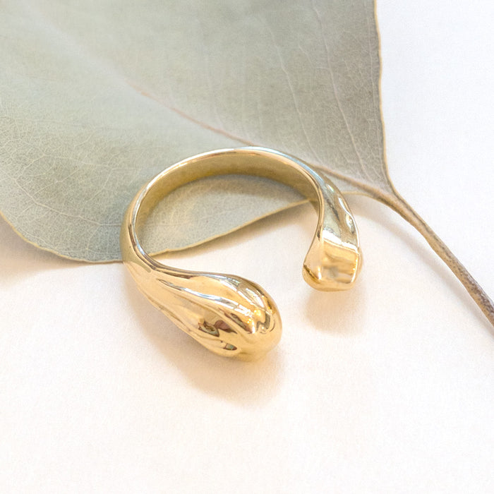 Cat Claws Ring